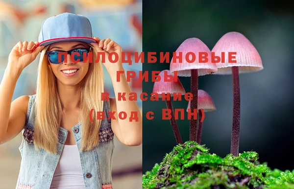 спиды Новозыбков