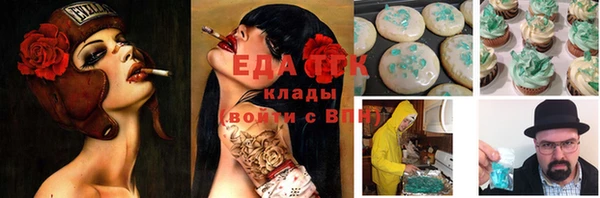 прущие грибы Болохово