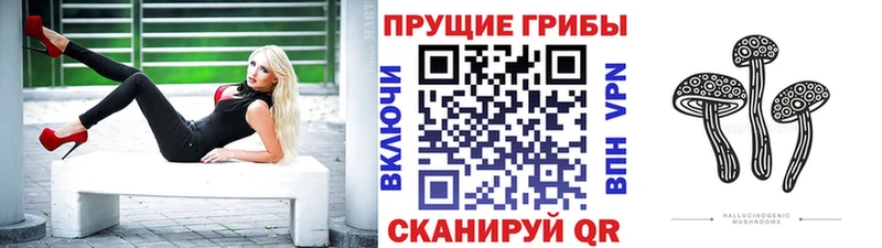Псилоцибиновые грибы мухоморы  Пудож 